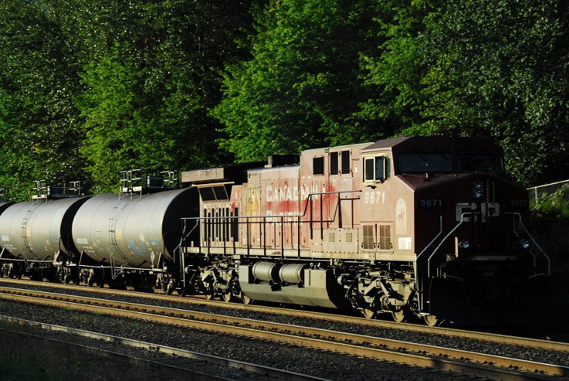 DSC_3551.JPG