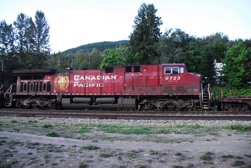 DSC_3560.JPG