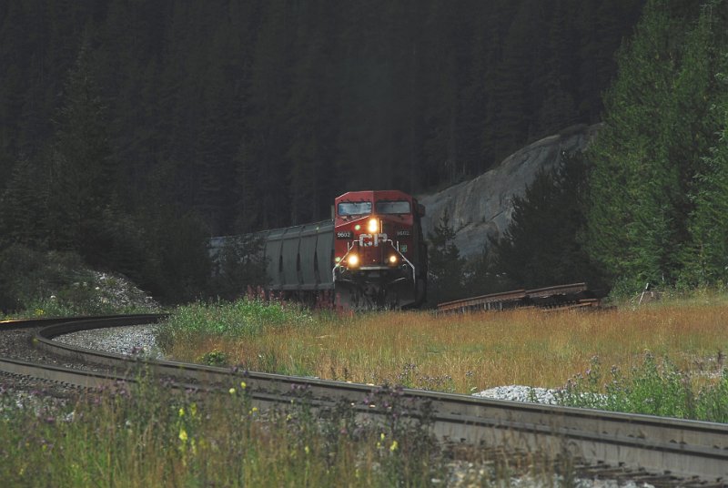 DSC_3655.JPG