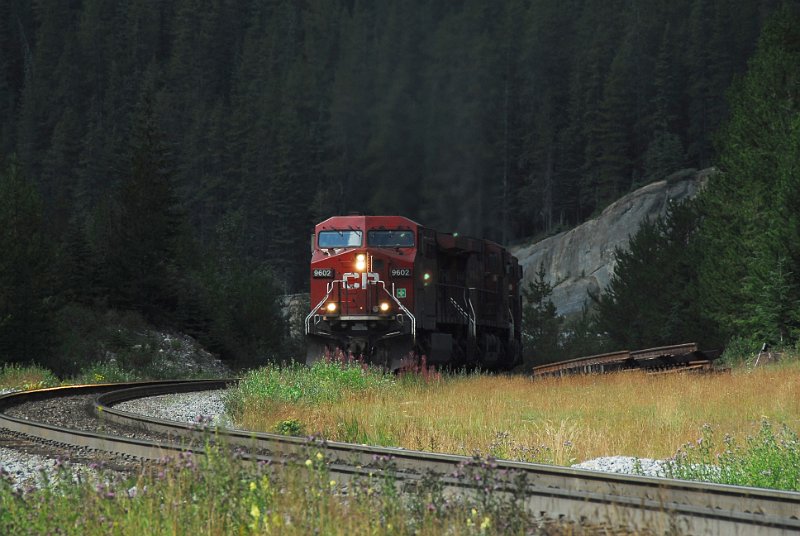 DSC_3656.JPG