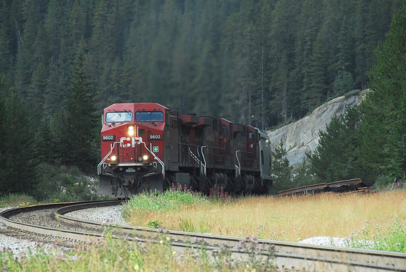 DSC_3657.JPG