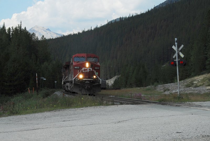 DSC_3658.JPG
