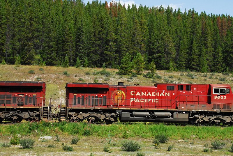 DSC_3671.JPG