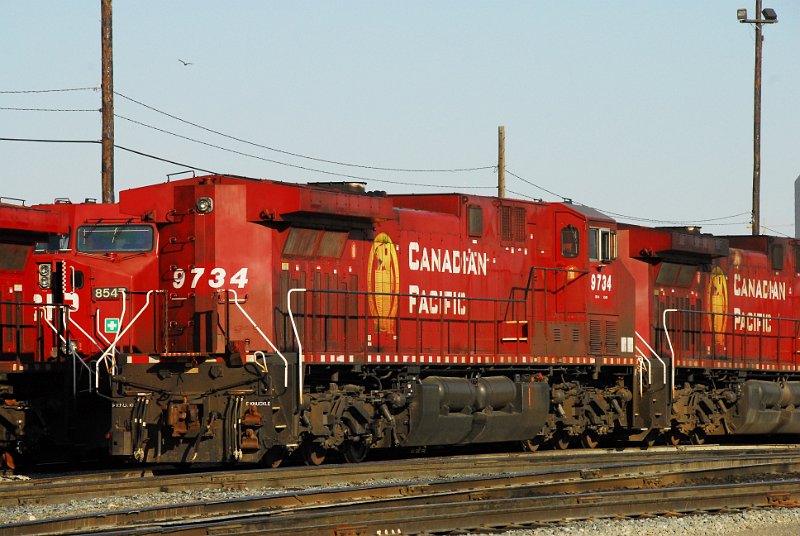 DSC_3863.JPG