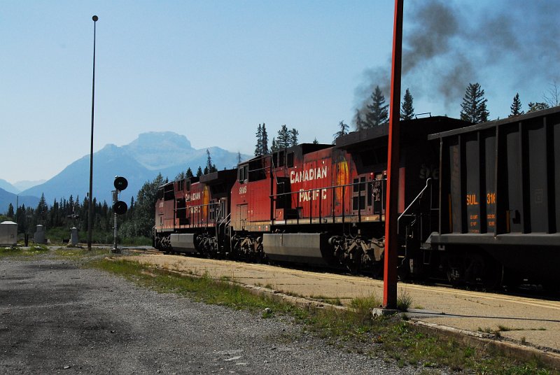 DSC_3914.JPG