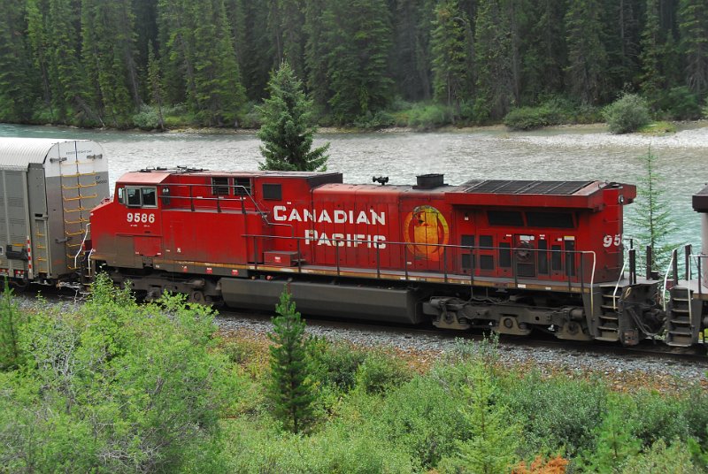 DSC_4101.JPG