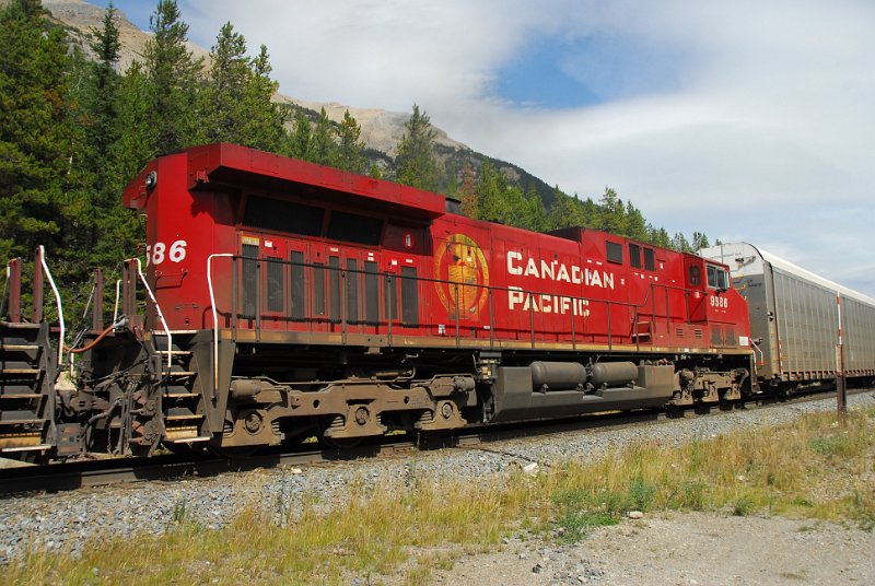 DSC_4117.JPG