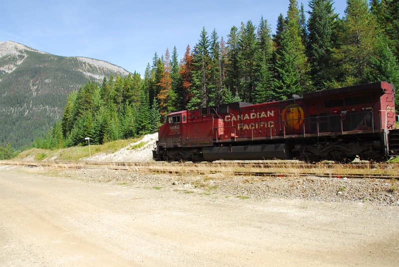 DSC_4124.JPG