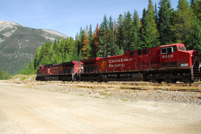 DSC_4125.JPG