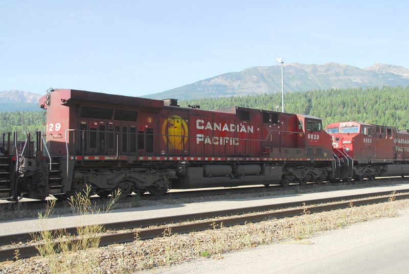 DSC_4196.JPG