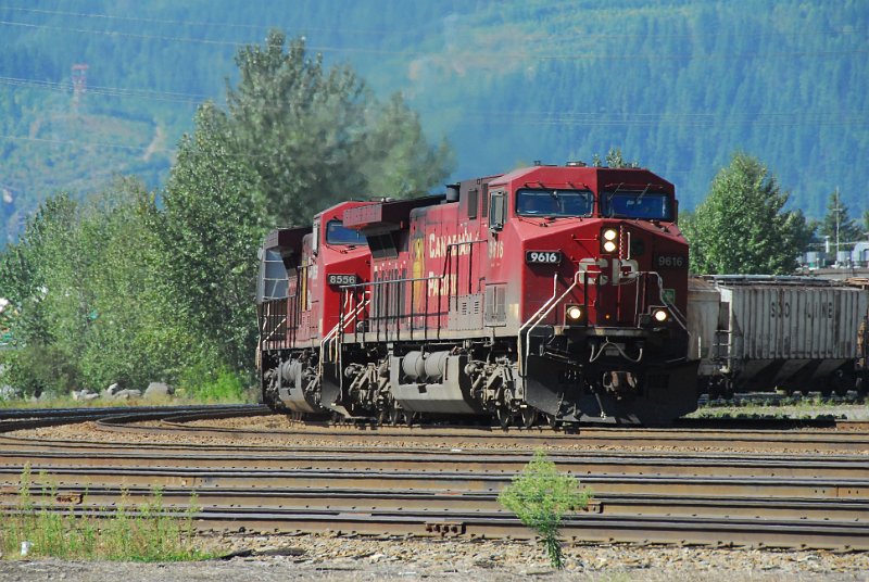 DSC_4249.JPG
