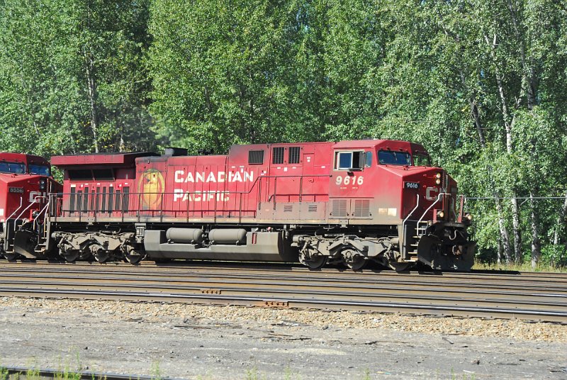 DSC_4250.JPG