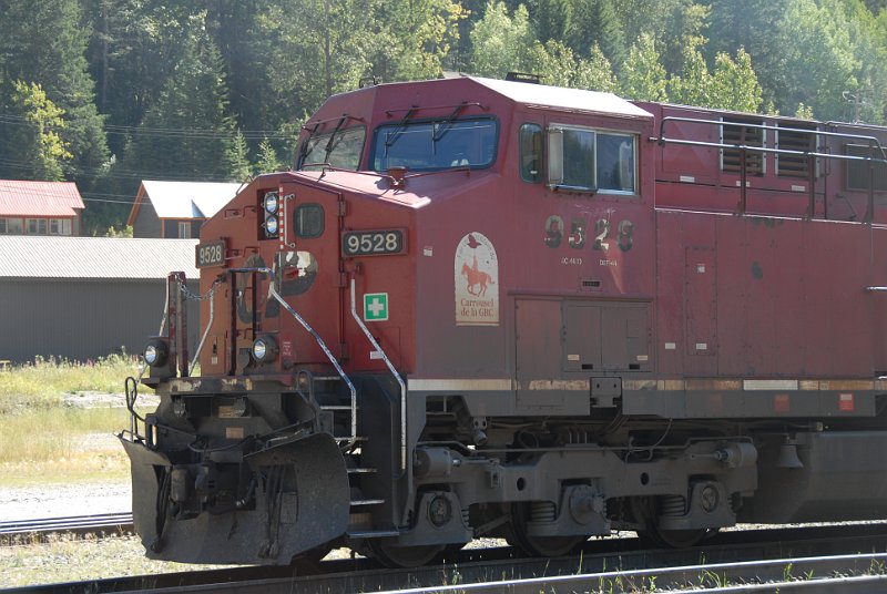 DSC_7230.JPG