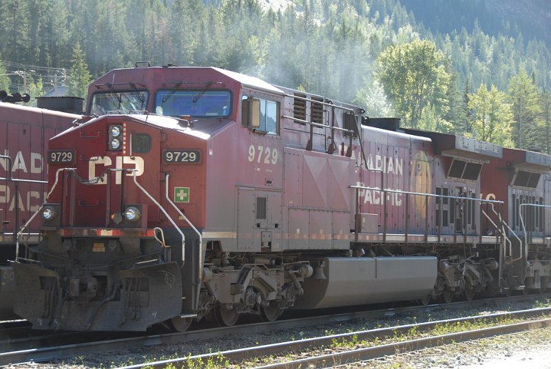 DSC_7231.JPG