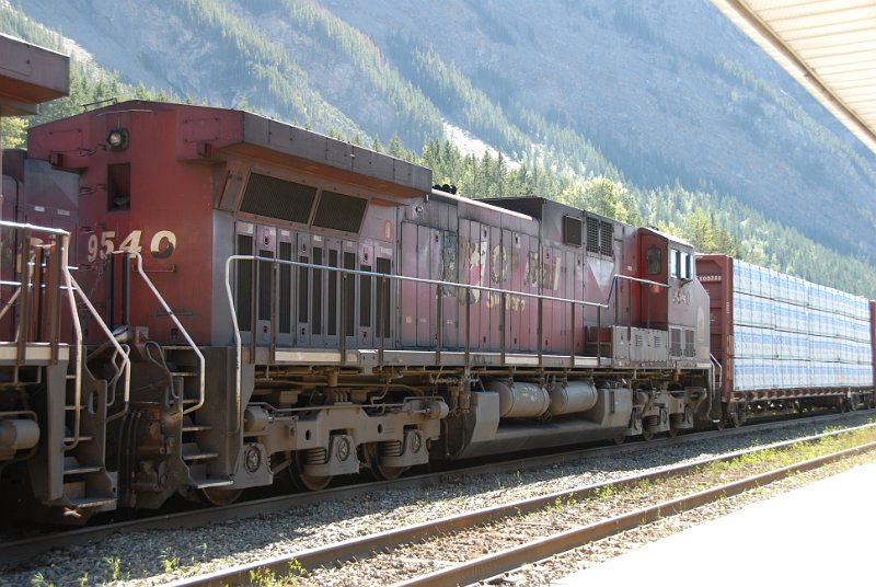 DSC_7233.JPG