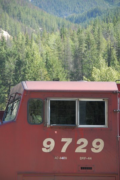 DSC_7238.JPG