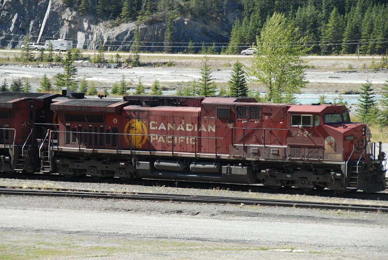 DSC_7243.JPG