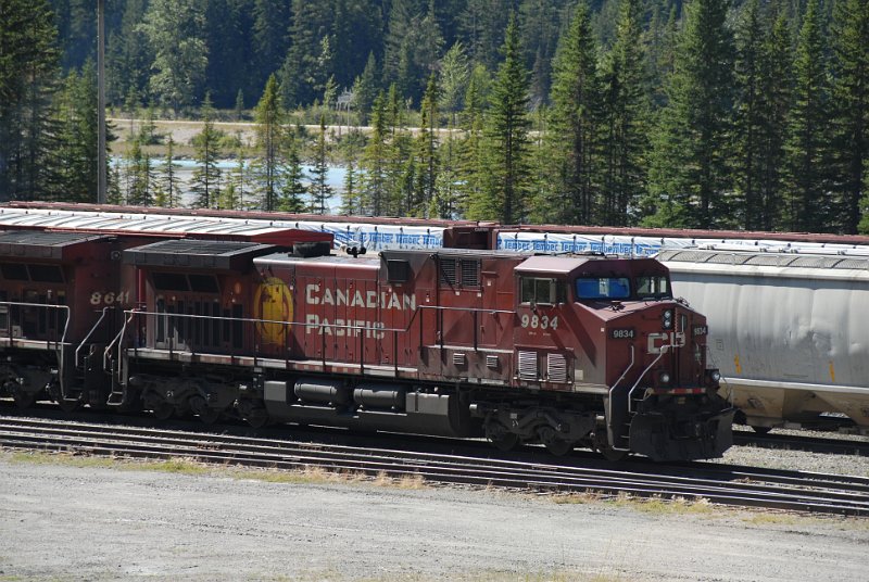 DSC_7244.JPG