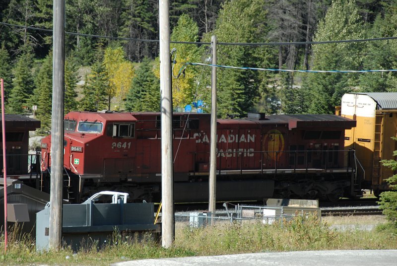 DSC_7249.JPG