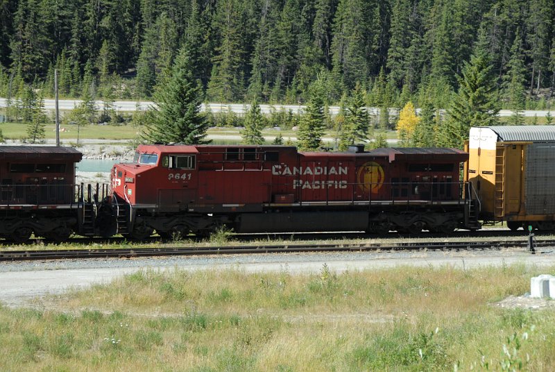 DSC_7255.JPG