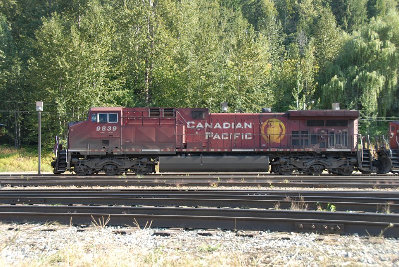 DSC_7372.JPG