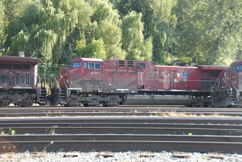 DSC_7373.JPG