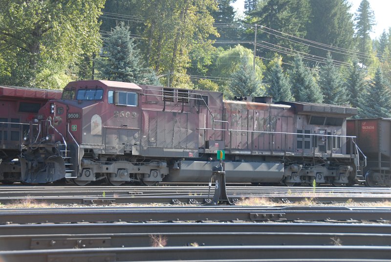 DSC_7374.JPG
