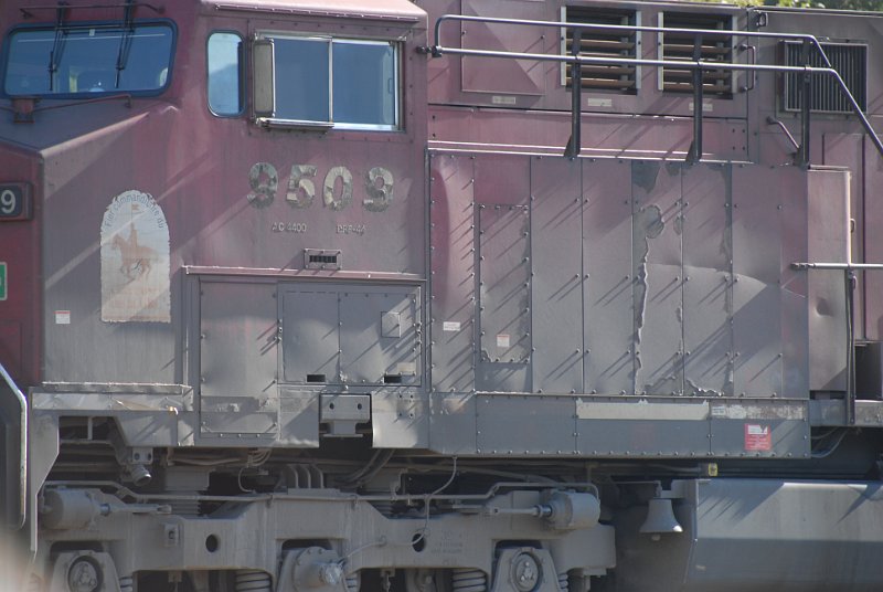 DSC_7376.JPG