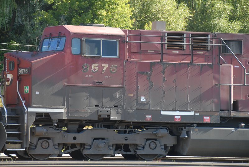 DSC_7377.JPG