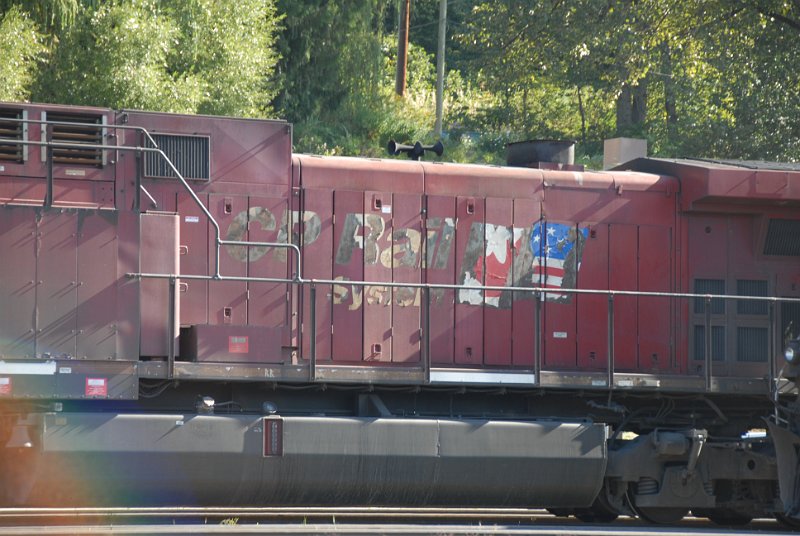 DSC_7378.JPG