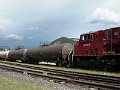 CP9149_1