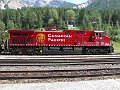 CP9733_1