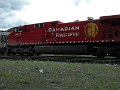CP9815_2