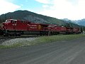 CP9815_3