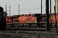 DSC_3802