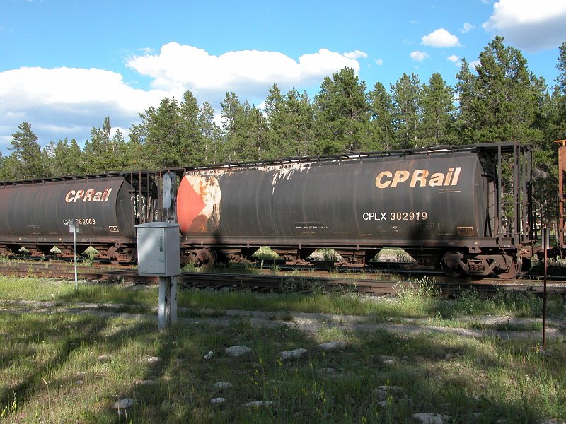 CP382919_1.jpg