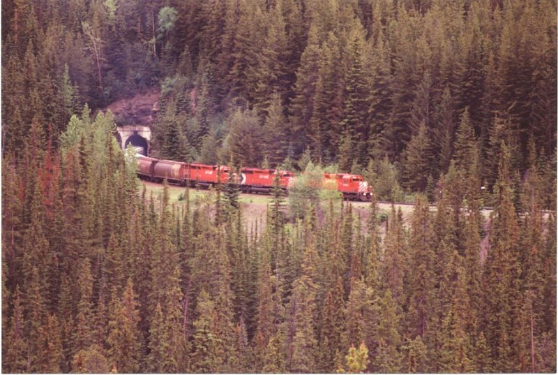 CP_001.jpg