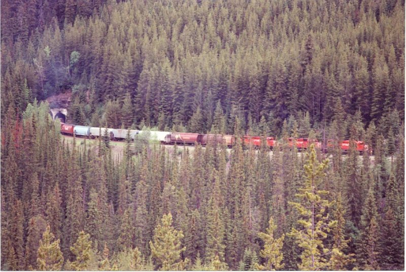 CP_002.jpg