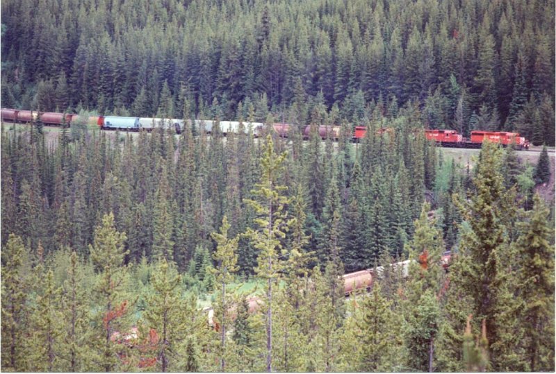 CP_003.jpg