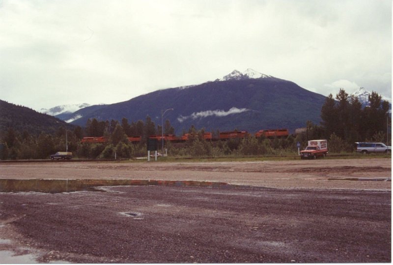 CP_005.jpg