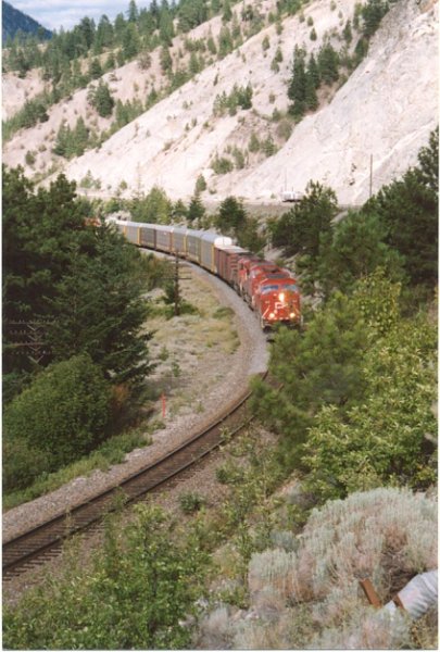 CP_009.jpg