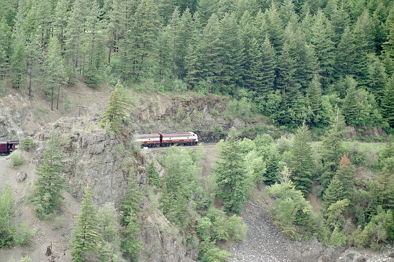 CP_012.jpg