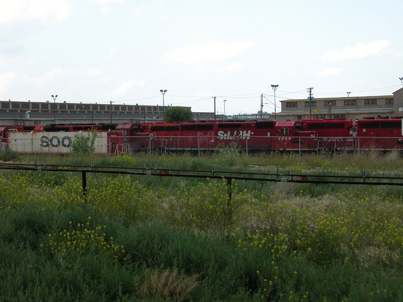 CP_019.jpg
