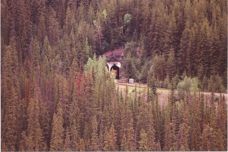 CP_030.jpg