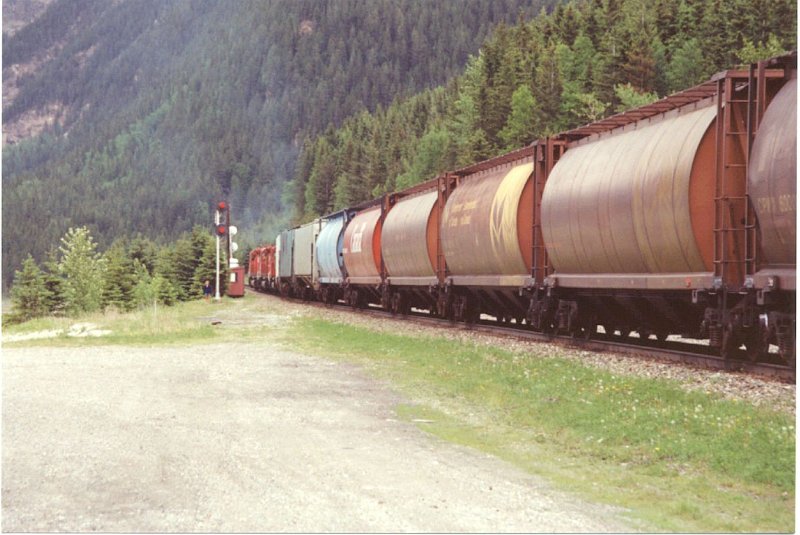 CP_031.jpg