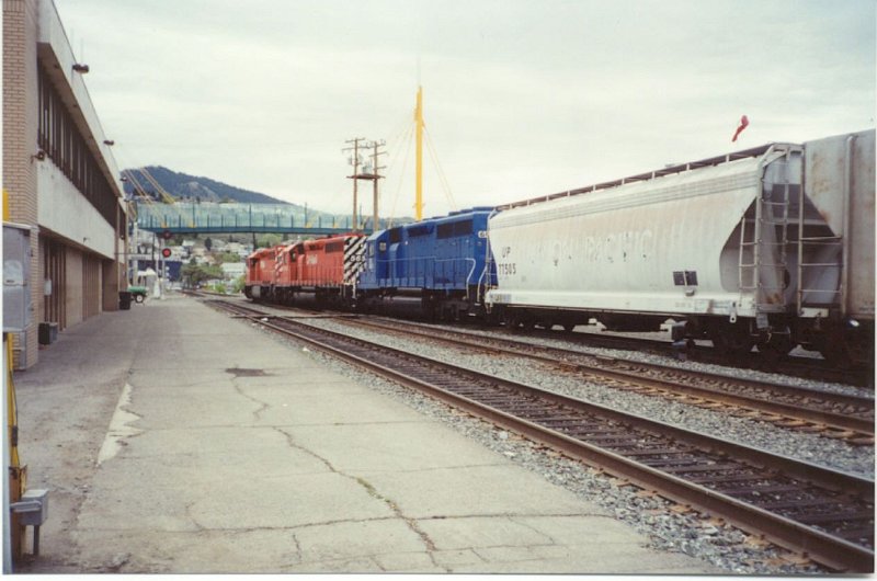 CP_036.jpg