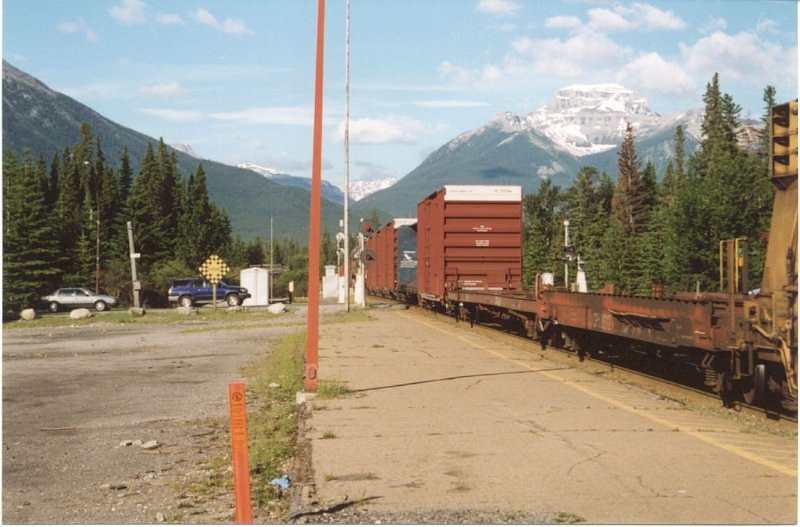 CP_039.jpg