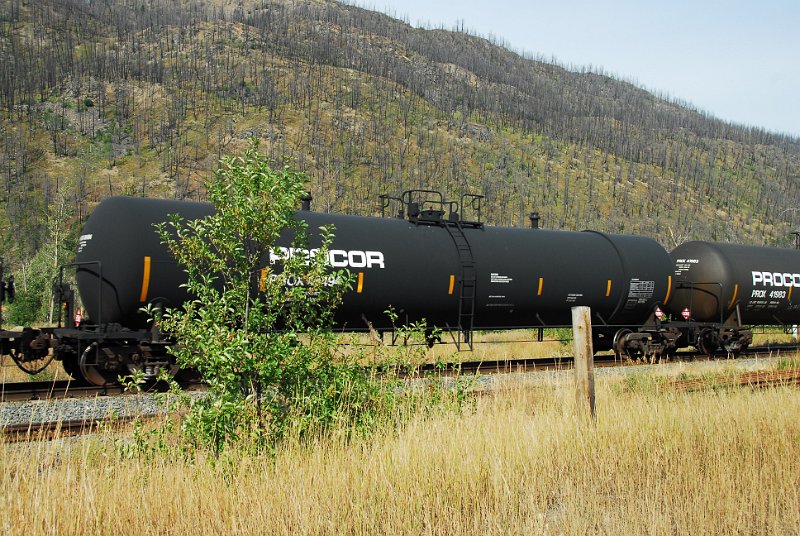 DSC_3466.JPG