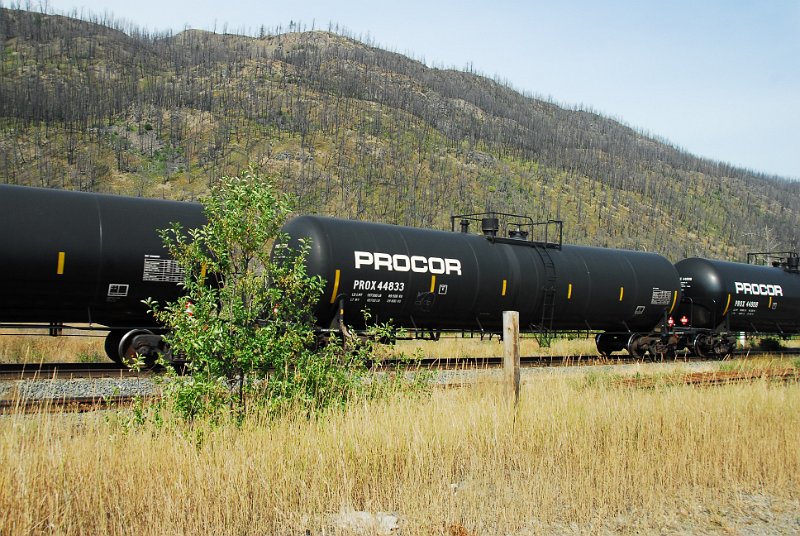 DSC_3471.JPG