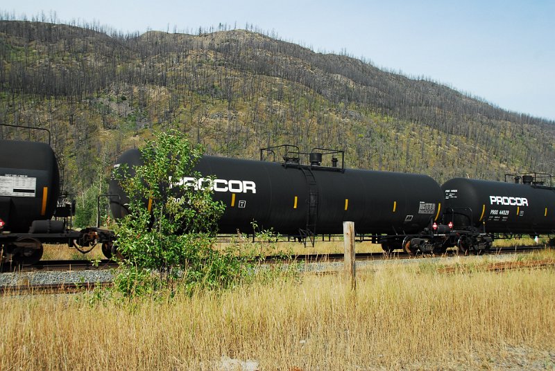 DSC_3473.JPG